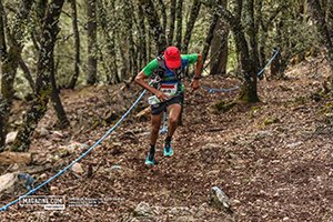 Trail Des Cèdres 2023 (Edition 14)